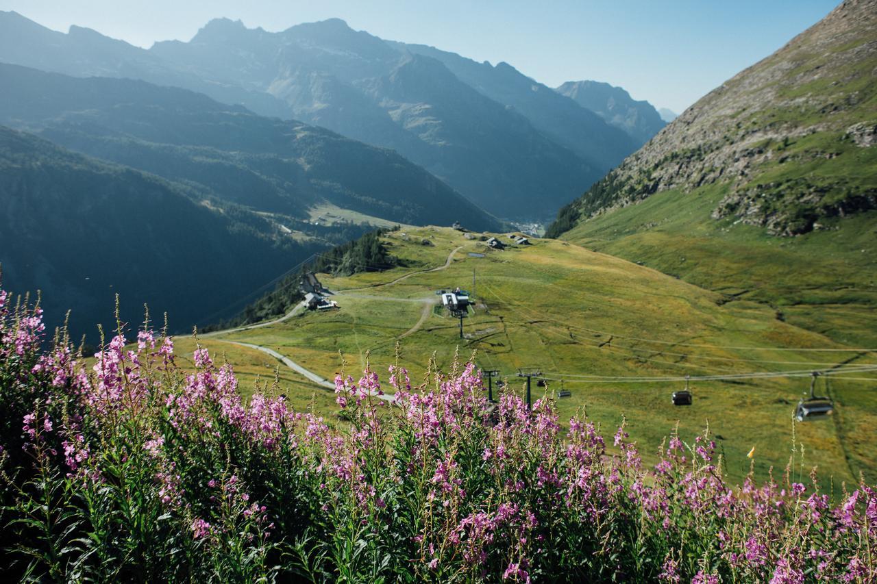 Albergo Ristoro Sitten - 2300 Mt Gressoney-la-Trinité Extérieur photo